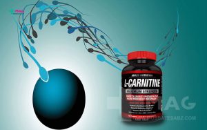 تاثیر ال کارنیتین بر میزان باروری اسپرم ها