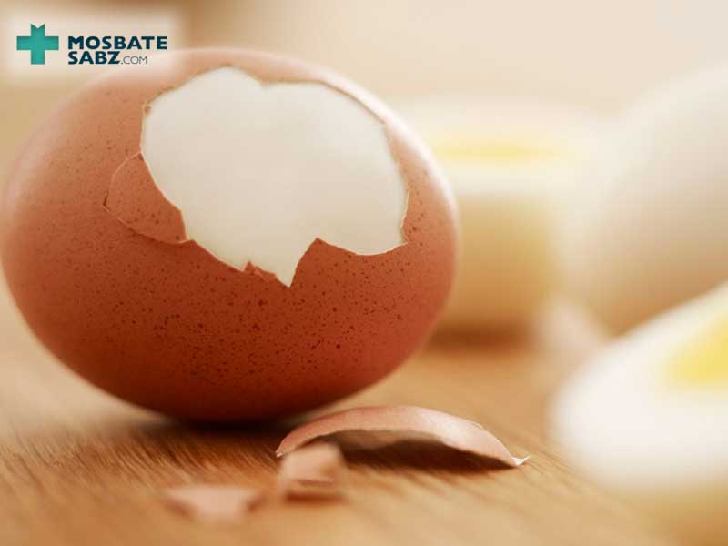 خواص پوست تخم مرغ به عنوان منبع غنی کلسیم