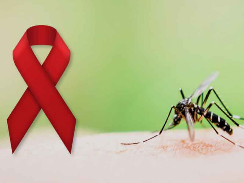 انتقال ایدز با نیش حشرات