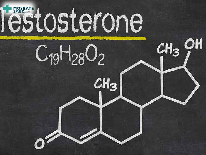 عوامل تاثیرگذار در سطح تستوسترون