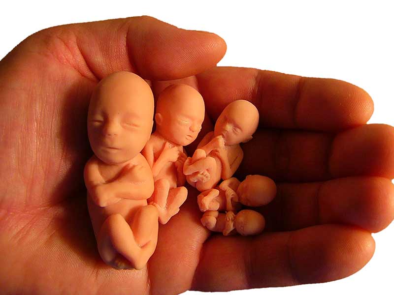 دانستنی هایی بعد از سقط جنین
