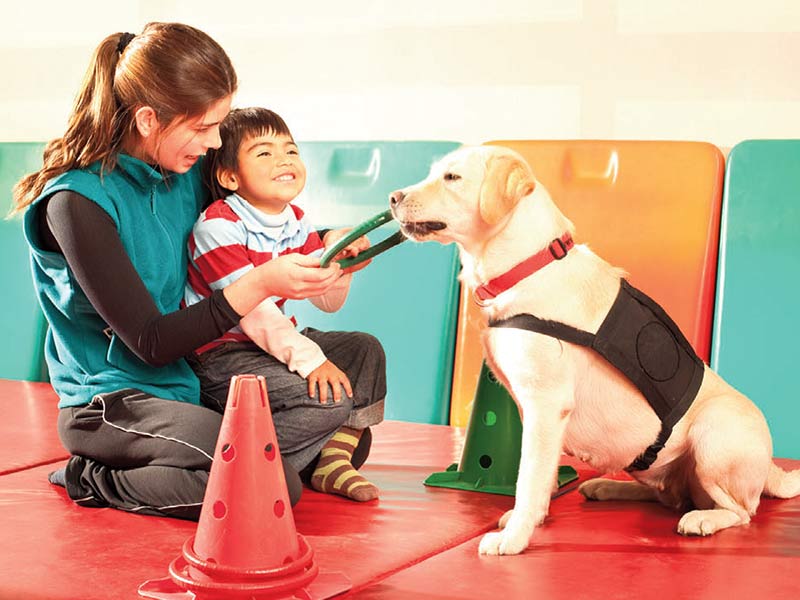 کمک سگ های درمان کننده به مشکلات گفتاری کودکان