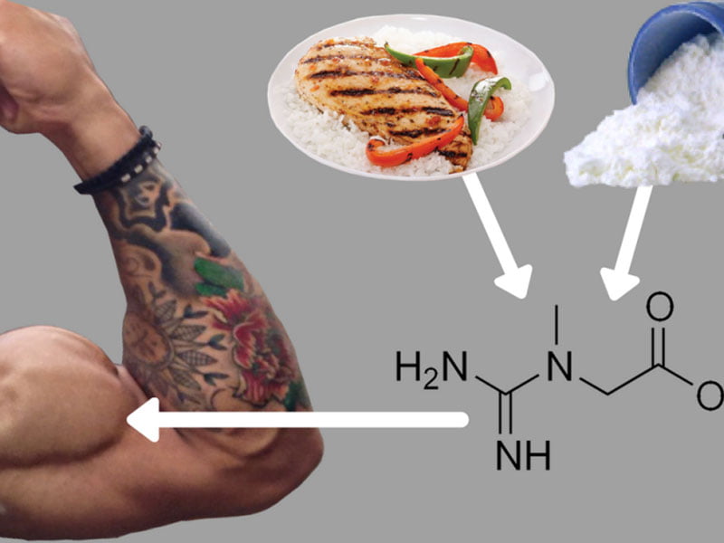 دریافت پروتئین از مکمل و مواد غذایی