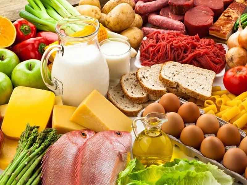 چه غذاهایی دارای پروتئین بالا هستند؟