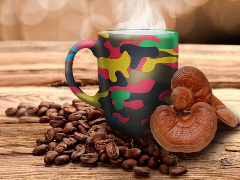 قهوه گانودرما چیست + مضرات و فواید قهوه گانودرما