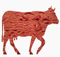 گوشت گاو