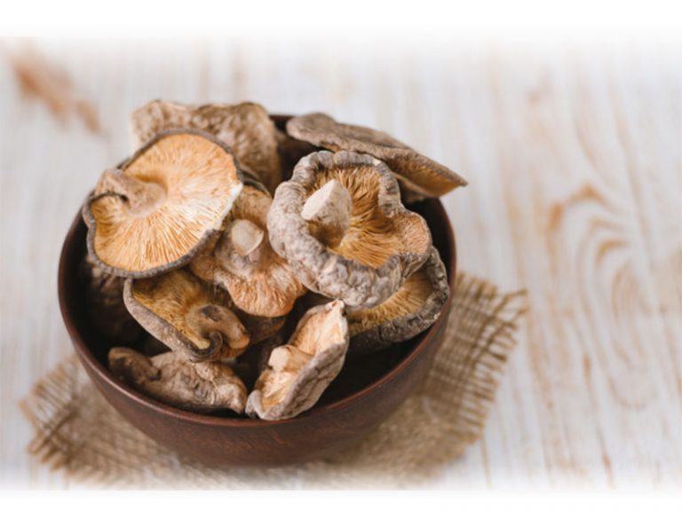 فواید قارچ شیتاکه