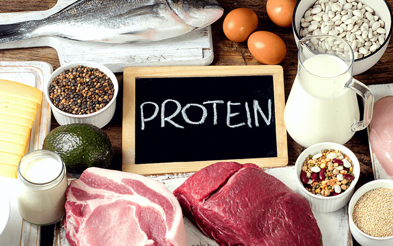 منابع پروتئین