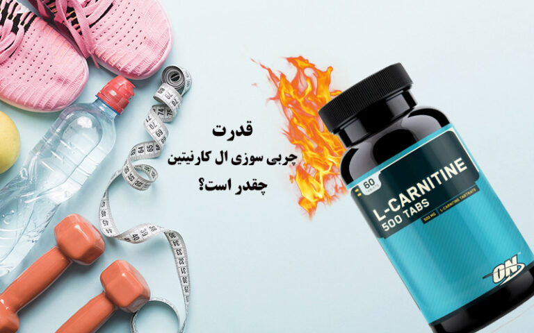 قدرت چربی سوزی ال کارنیتین