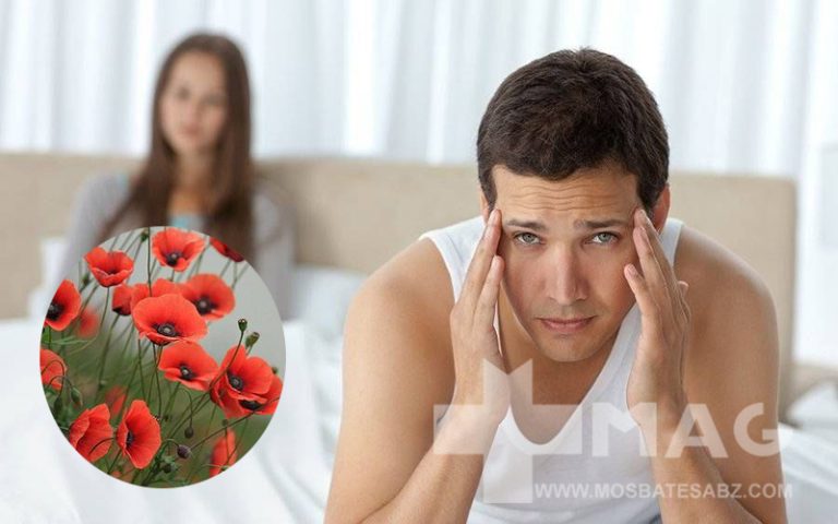 قوی ترین داروی گیاهی برای زودانزالی