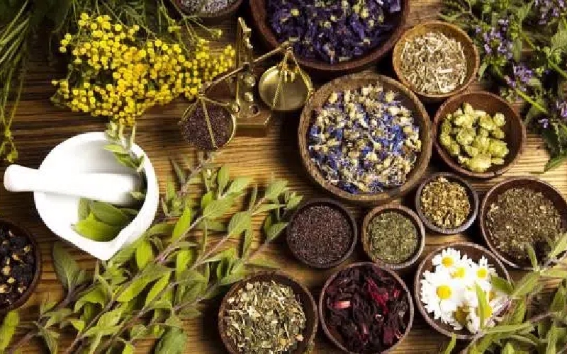 شرکت های صادرات گیاهان دارویی + خریدار گل گاوزبان و سنبل الطیب