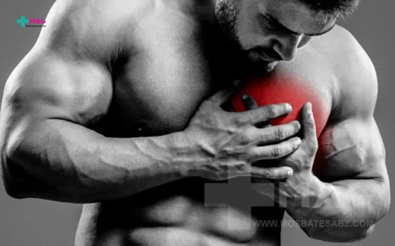 تاثیر مکمل بدنسازی بر روی قلب