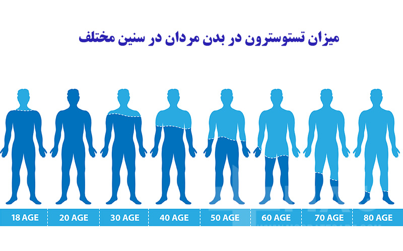 میزان تستوسترون در بدن مردان در سنین مختلف