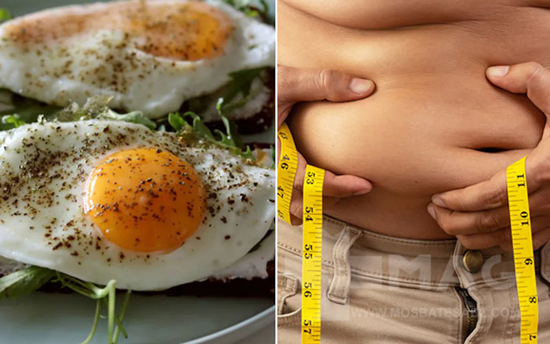 تخم مرغ و کاهش وزن