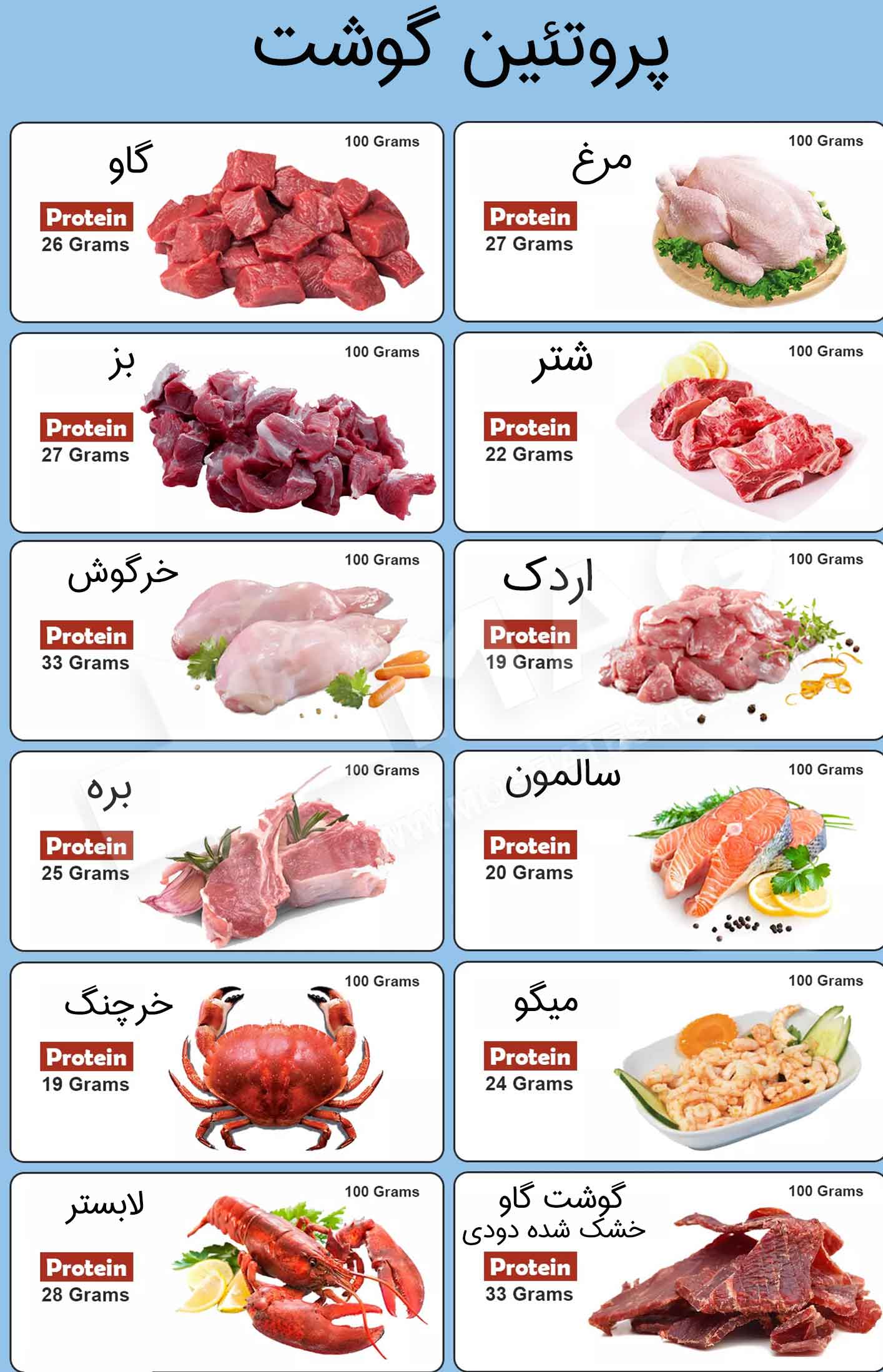 پروتئین گوشت