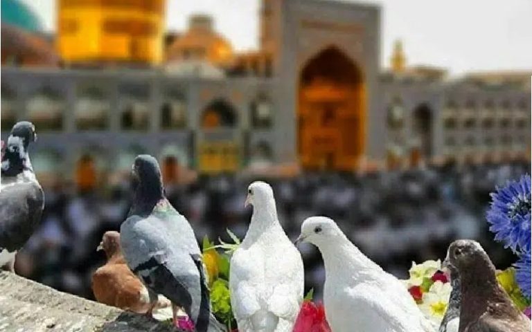 بهترین فصل سفر به مشهد چه زمانی است؟