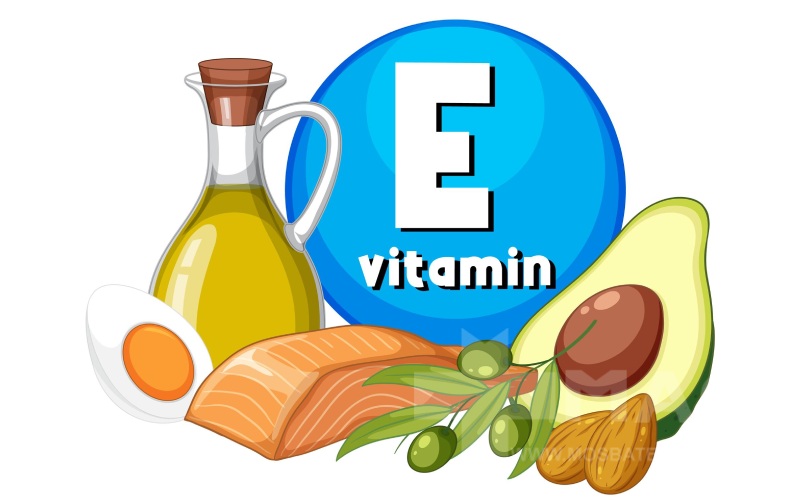 مواد غذایی حاوی ویتامین E
