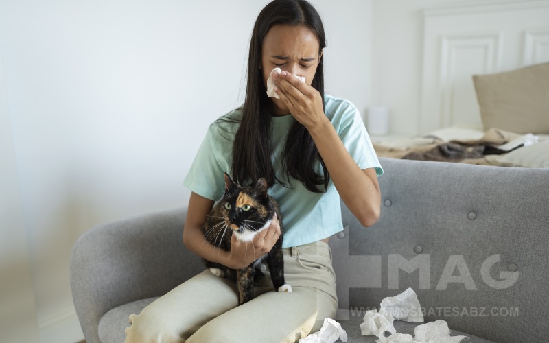 درمان آلرژی گربه