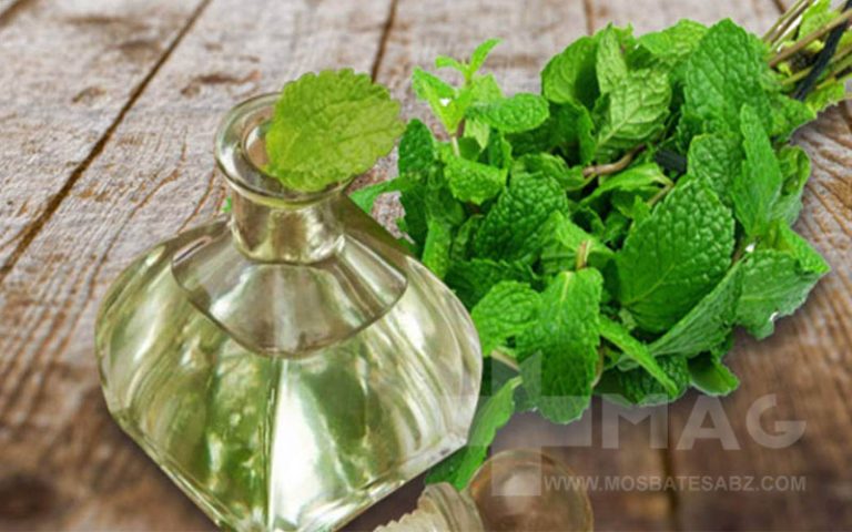 خواص عرق نعنا