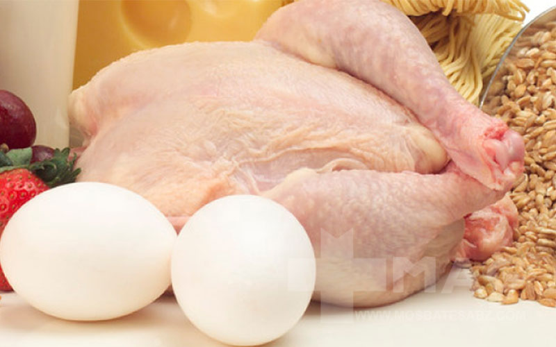 پروتئین تخم مرغ بیشتر است یا مرغ؟
