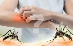 پشه ها جذب کدام گروه خونی می‌شوند؟