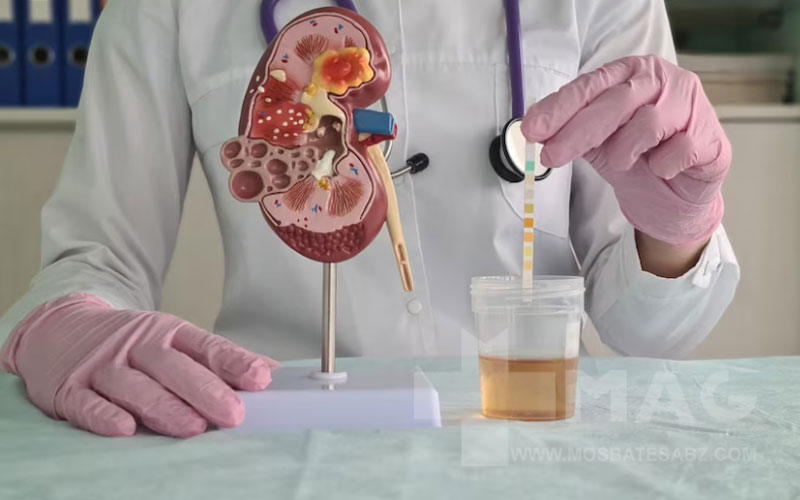 آیا دفع پروتئین درمان قطعی دارد؟