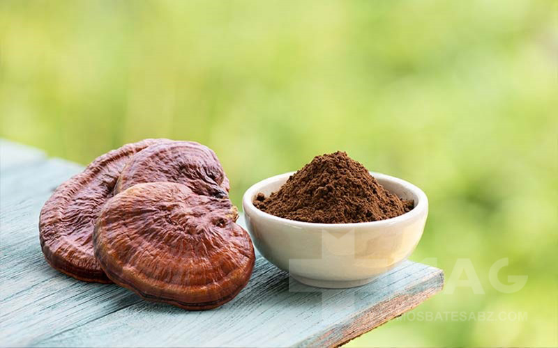 قارچ گانودرما