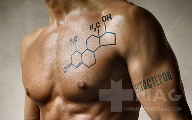 چه چیزهایی هورمون مردانه را زیاد میکند
