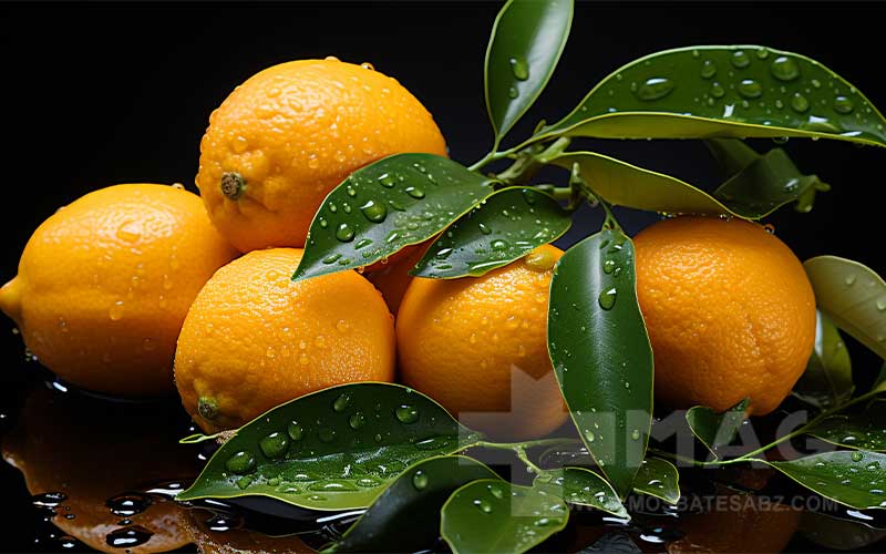 خواص لیمو ترش