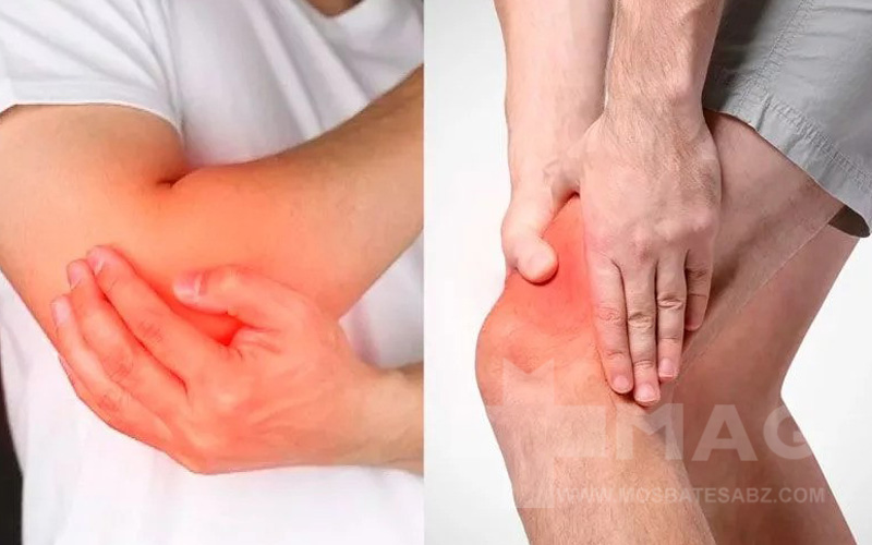 قویترین غضروف ساز طبیعی