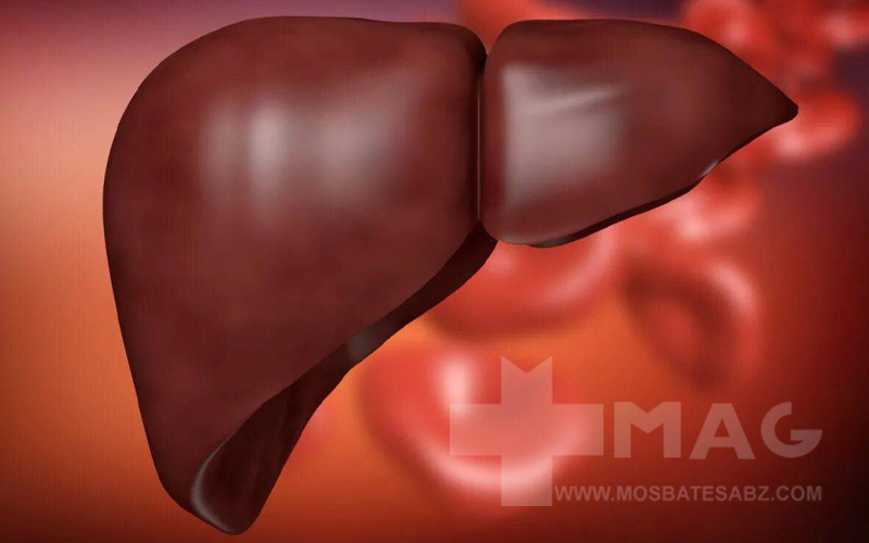 پاکسازی کبد و خون