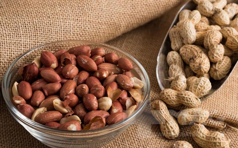 بادام زمینی