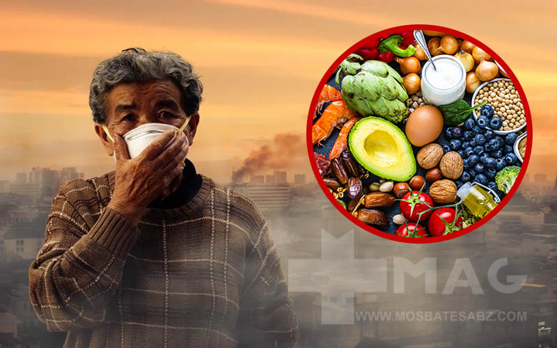 تغذیه مناسب آلودگی هوا