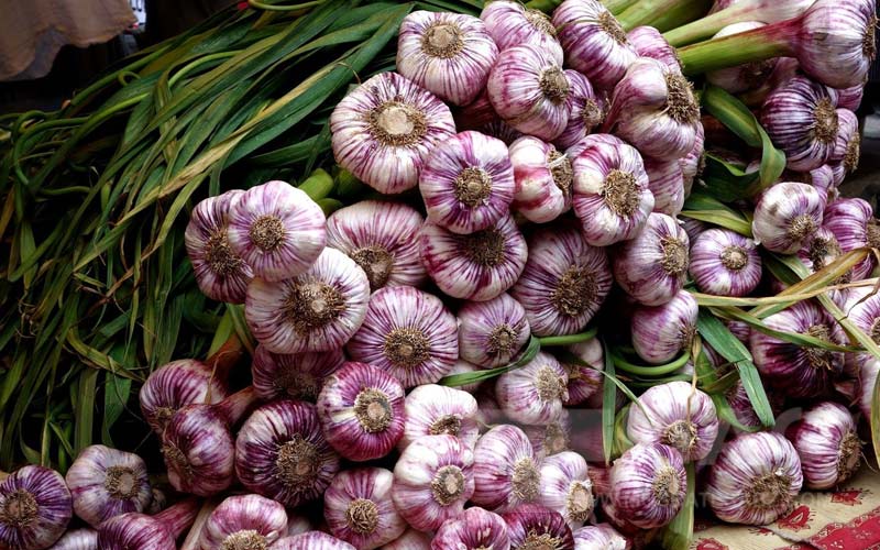 سیر برای قند خون