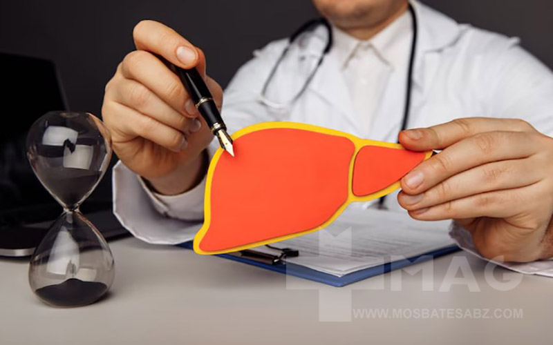 طحال چیست و کجای بدن قرار دارد