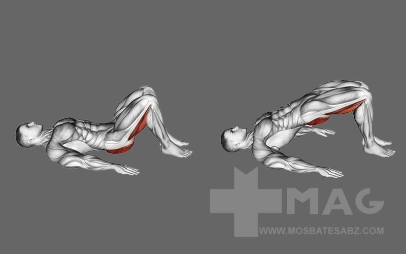 حرکت پل باسن