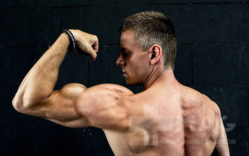 پرس سرشانه دمبل موازی