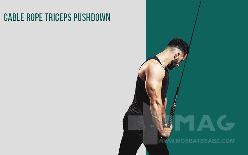 پشت بازو سیم کش طناب