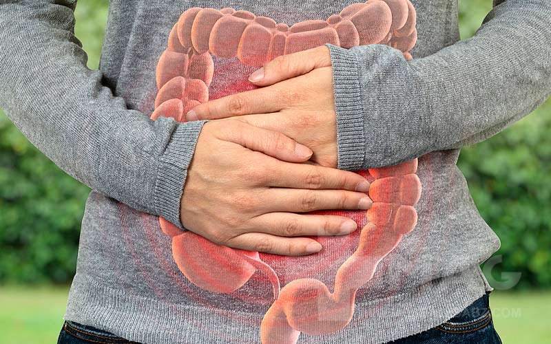 چه غذاهایی باعث بهبود عملکرد روده می‌شوند