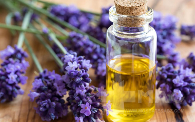 روغن بنفشه برای التهاب واژن