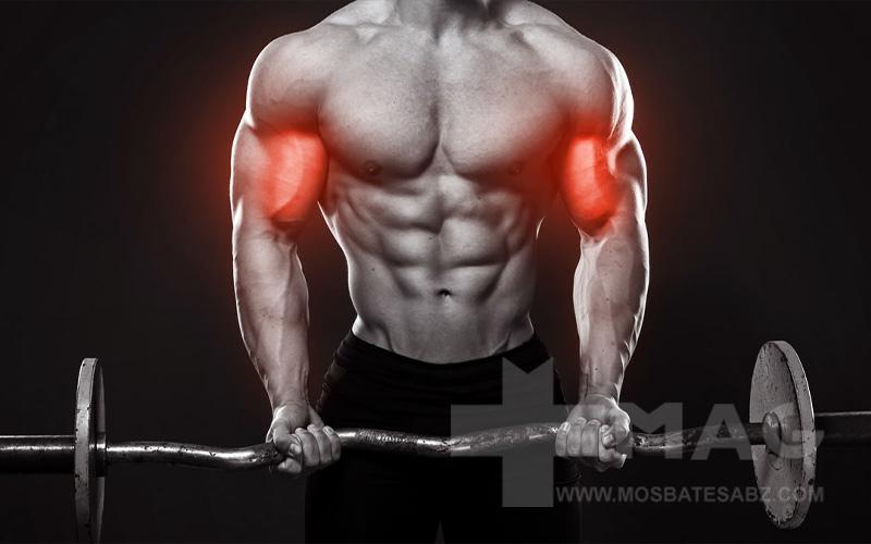 جلو بازو هالتر ایستاده