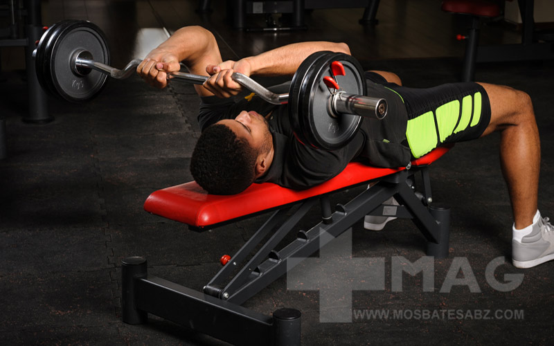 پشت بازو هالتر خوابیده