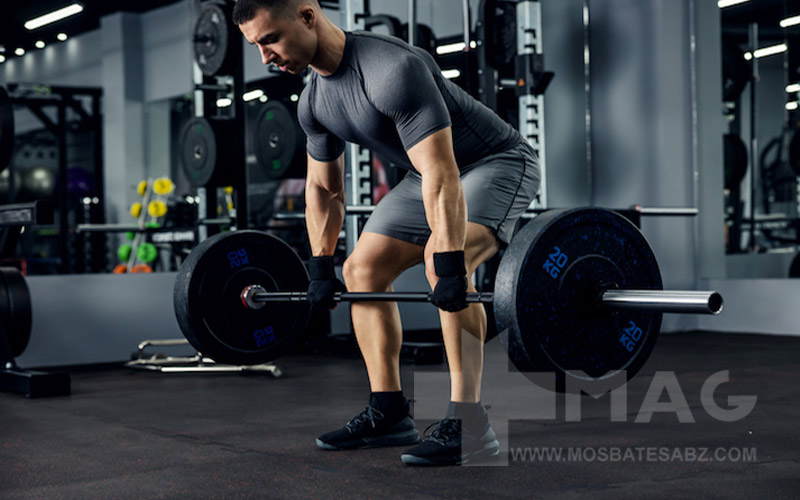 نشر خم هالتر