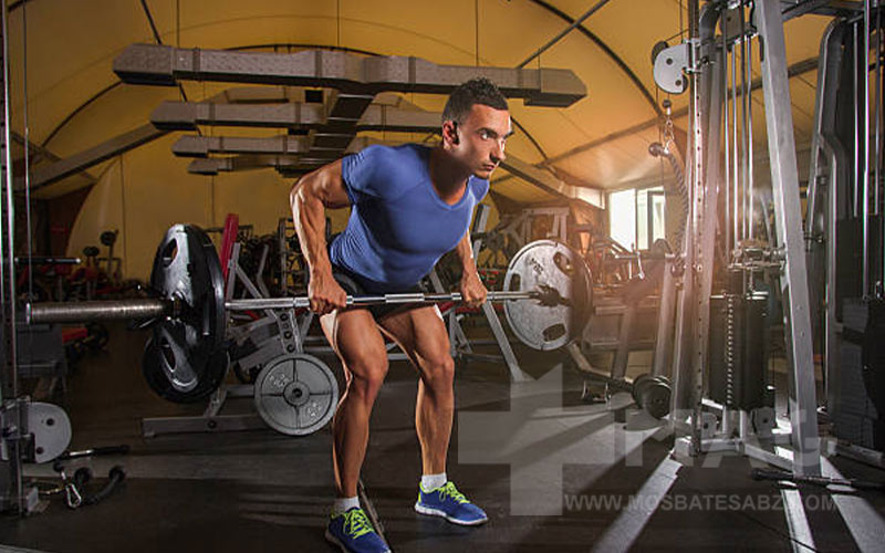 فواید نشر خم هالتر