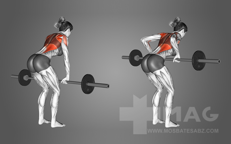 نحوه اجرای نشر خم هالتر یا هالتر خم