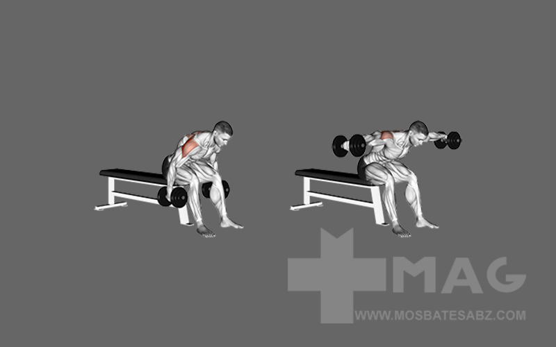 نحوه اجرای نشر خم دمبل نشسته