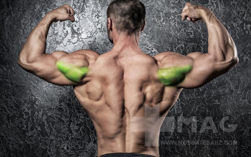 فواید نشر خم دمبل نشسته