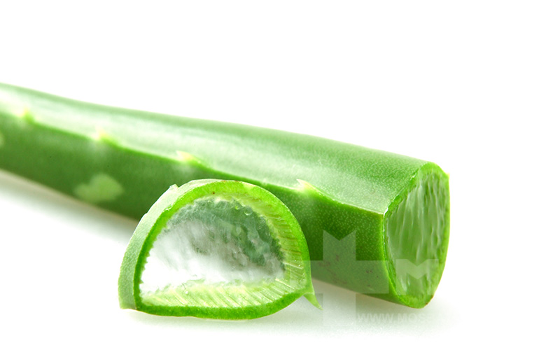 آلوورا تازه برای ماسک آلوورا