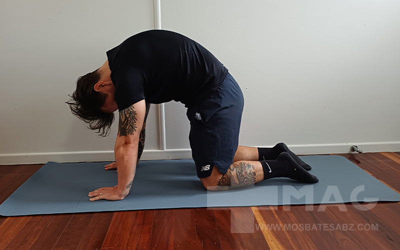 رفع گردن درد با یوگا ، گربه گاو