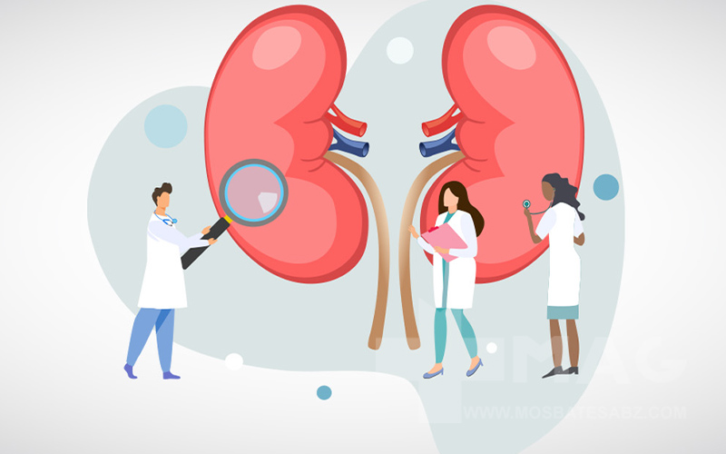 دوره مصرف کراتین چند روز است و نگرانیهای کلیوی